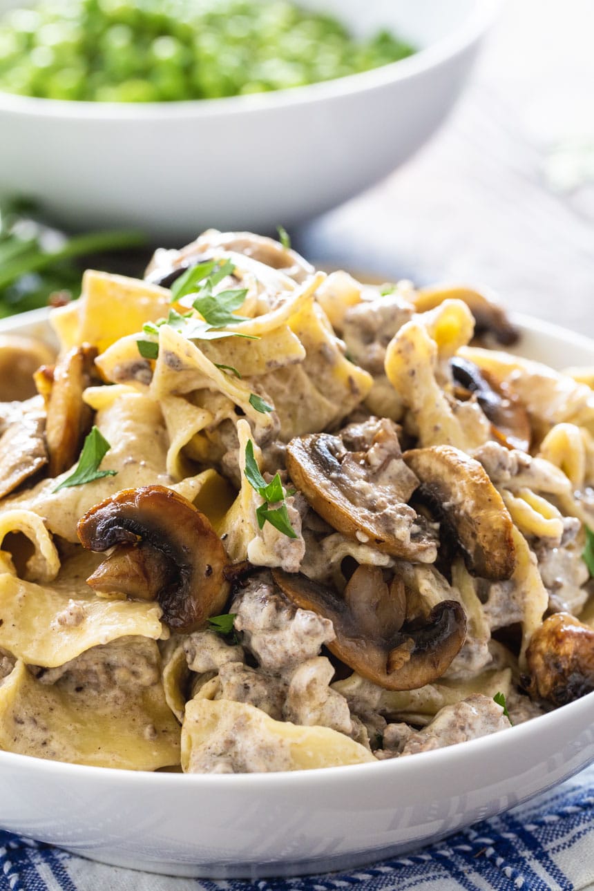 Clos-up of Ground Beef Stroganoff