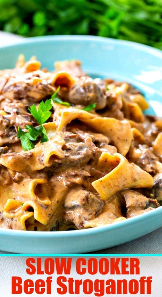 Slow Cooker Beef Stroganoff Spicy Southern Kitchen