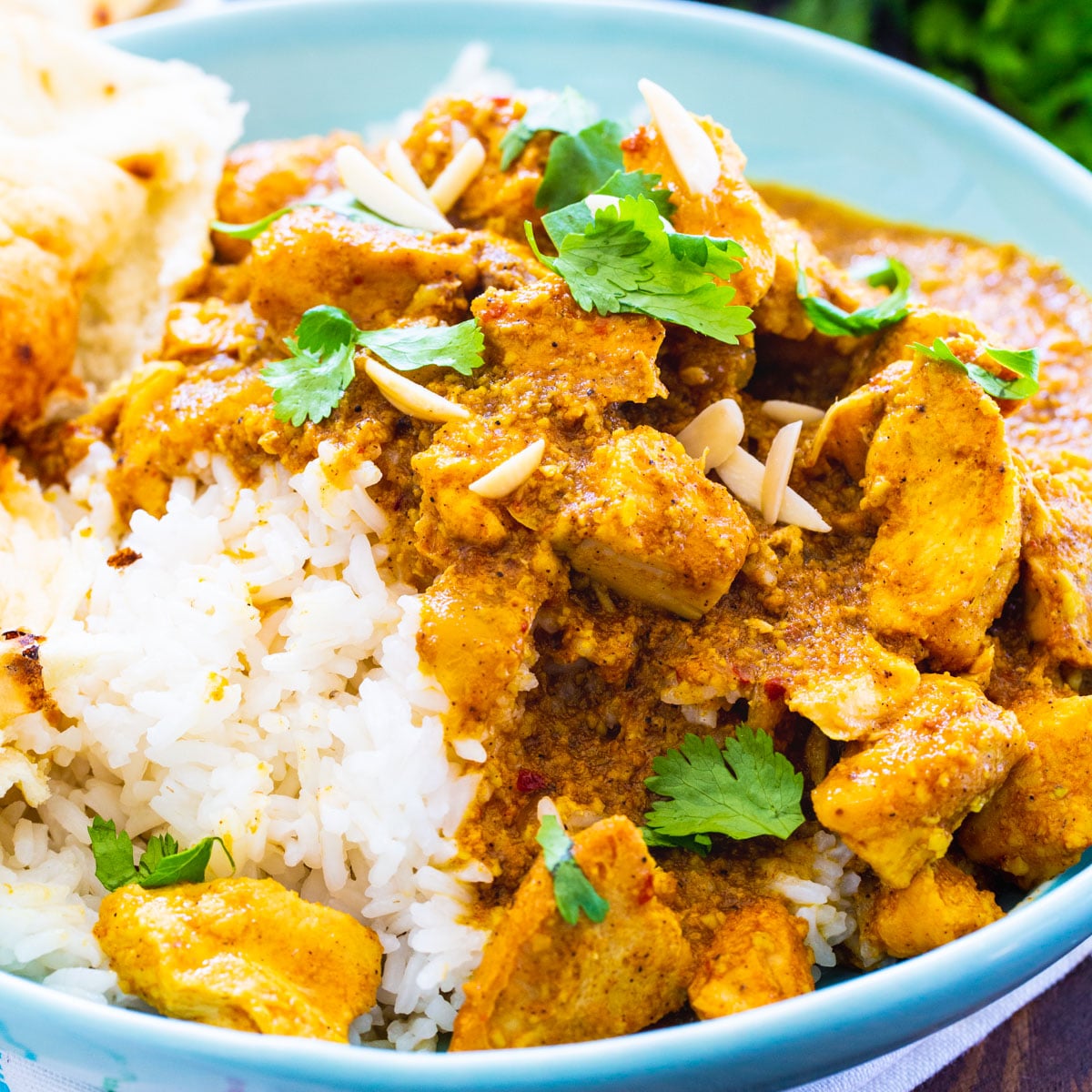 Slow Cooker Chicken Korma - Spicy Southern Kitchen
