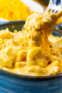 A fork scooping up Slow Cooker Ultra Creamy Mac and Cheese.