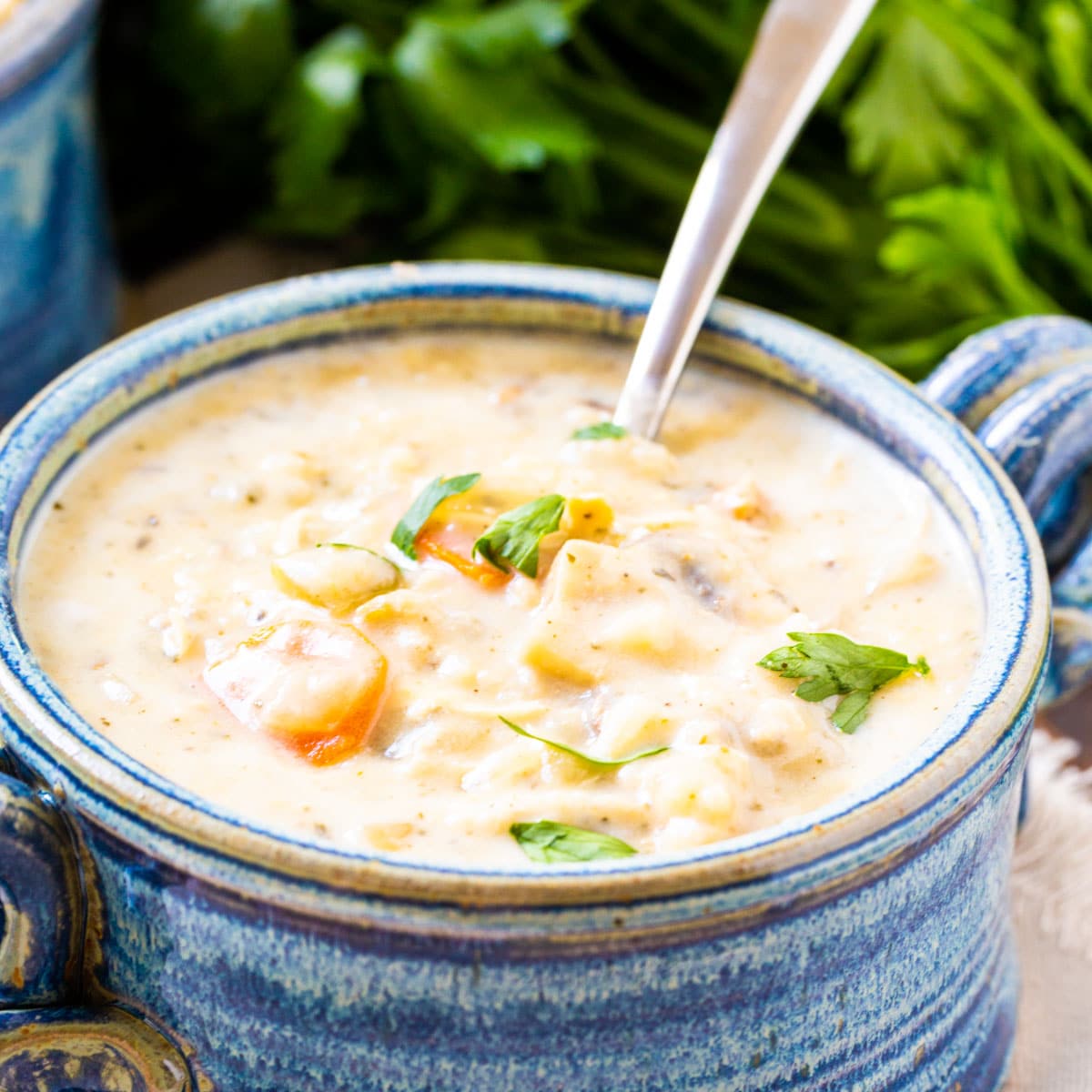 Slow Cooker Chicken and Wild Rice Soup - Damn Delicious