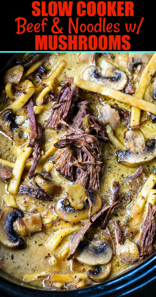 Crock Pot Beef and Noodles - Spicy Southern Kitchen
