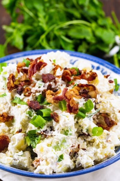 Sour Cream and Bacon Potato Salad - Spicy Southern Kitchen