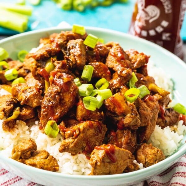 Pork over rice in a bowl.