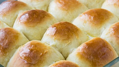 The Best Yeast Rolls - Spicy Southern Kitchen