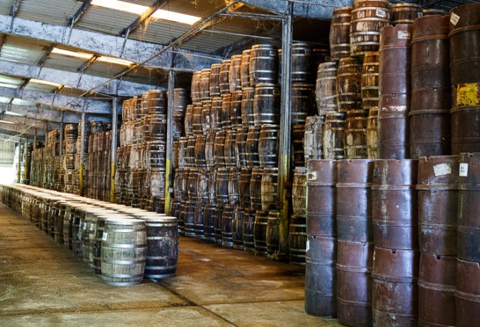 TABASCO sauce production on Avery Island