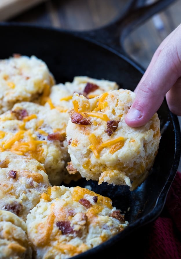 Bacon Cheddar Biscuits Spicy Southern Kitchen