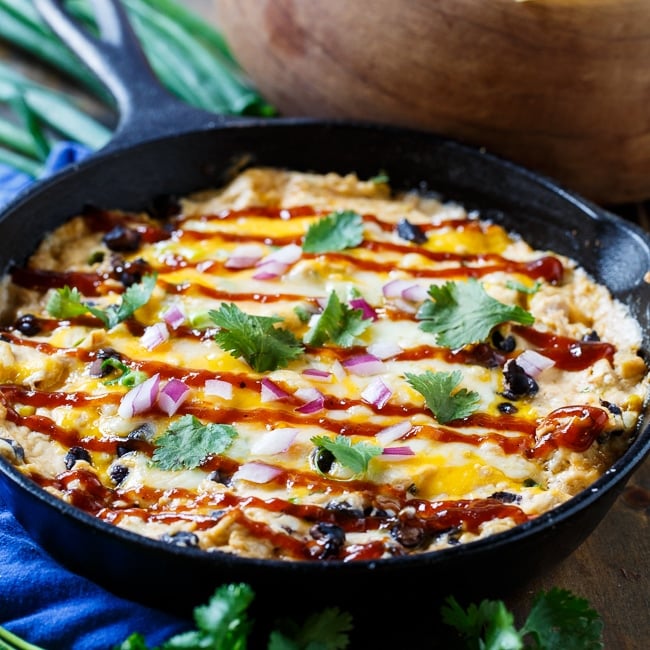 BBQ Chicken Dip - Spicy Southern Kitchen