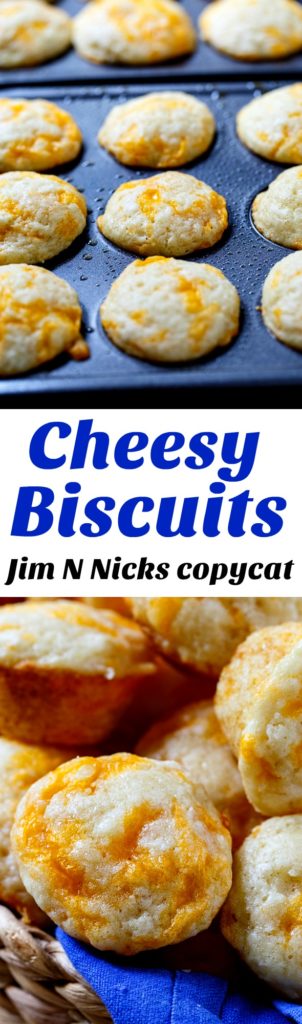 Jim 'n Nick's Cheesy Biscuits copycat - Spicy Southern Kitchen