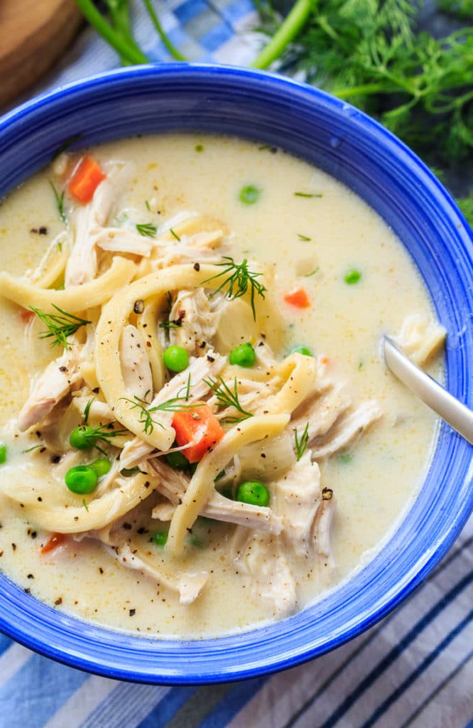 Chicken Noodle Soup - Spicy Southern Kitchen