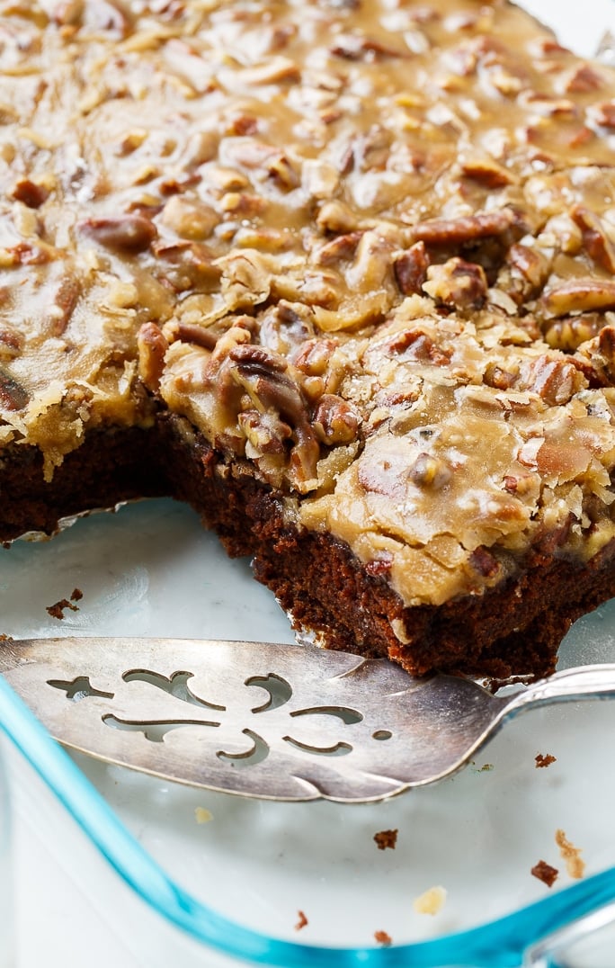 Chocolate Praline Cake- cleanable   for Mardi Gras