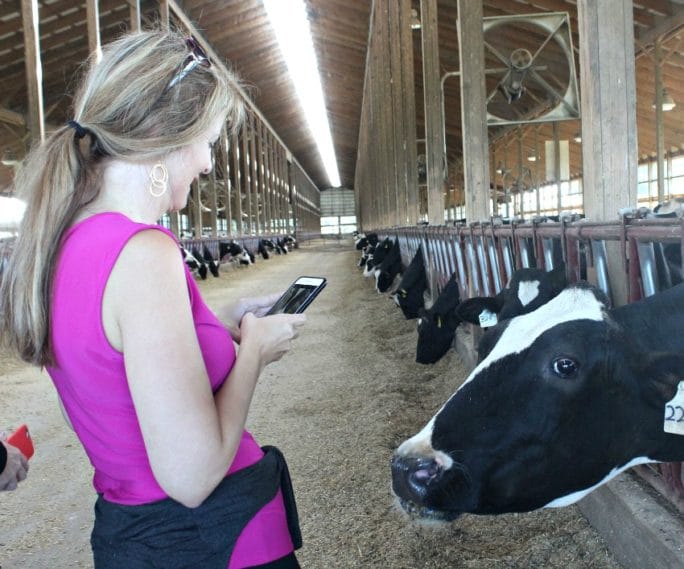 Ohio Dairy Farm- Clardale Farms