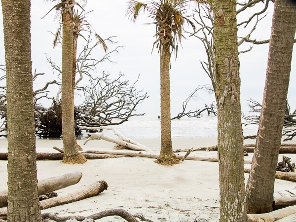 Hunting Island State Park South Carolina