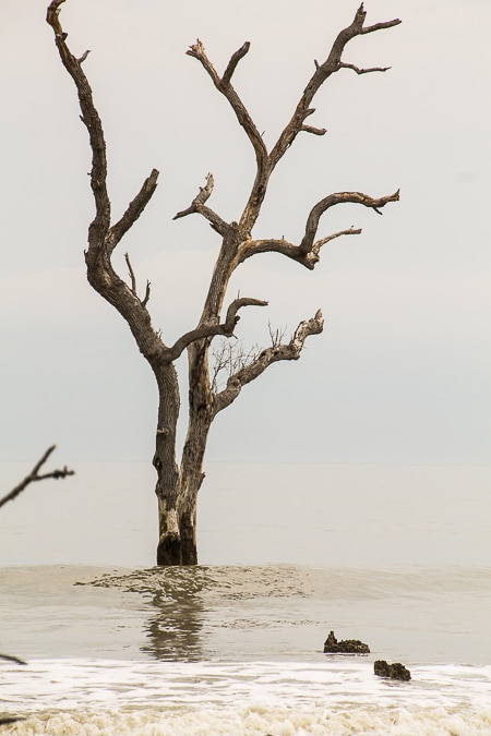 Hunting Island State Park in South Carolina