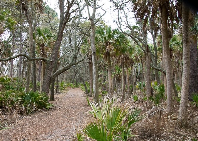 Hunting Island State Park in South Carolina