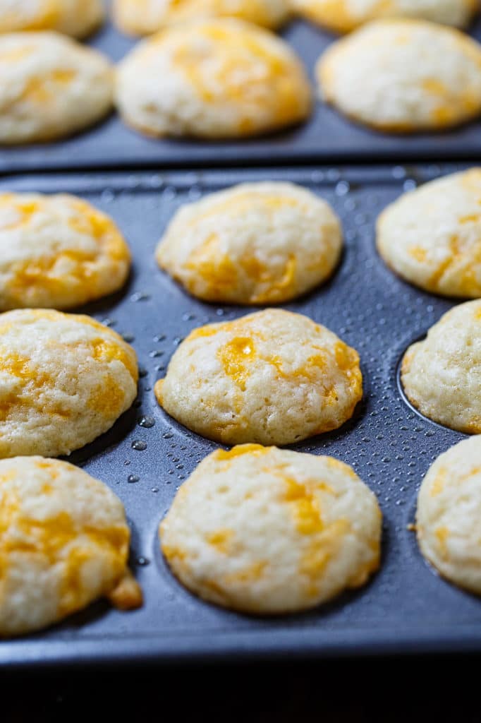 Jim 'n Nick's Cheesy Biscuits copycat Spicy Southern Kitchen
