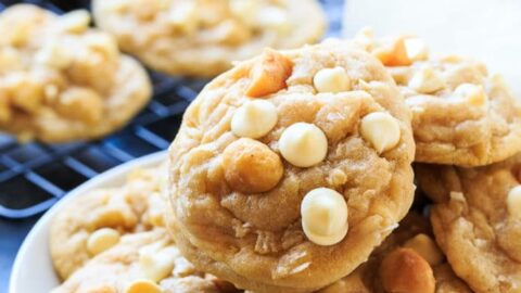 White Chocolate Macadamia Nut Cookies - Sally's Baking Addiction