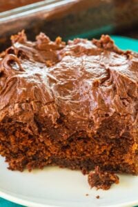 Rich chocolate sheet cake with chocolate icing