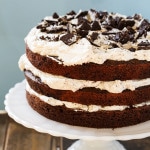 Mississippi Mudslide Cake from Grandbaby Cakes Cookbook