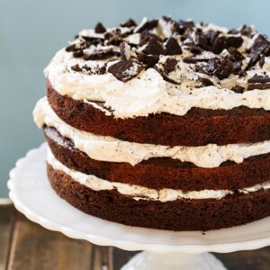 Mississippi Mudslide Cake from Grandbaby Cakes Cookbook
