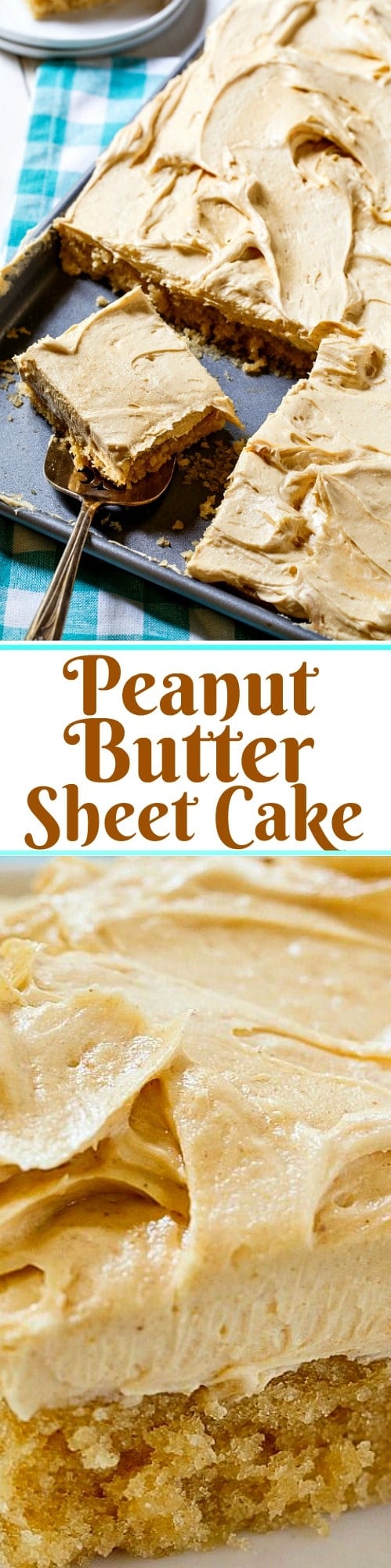 Peanut Butter Sheet Cake with a thick and fluffy peanut butter frosting.