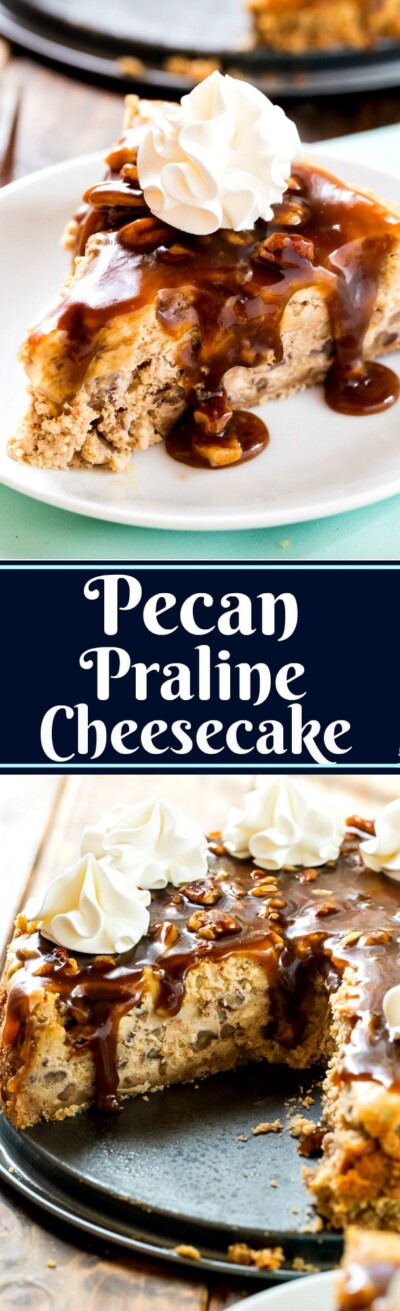 Pecan Praline Cheesecake - Spicy Southern Kitchen