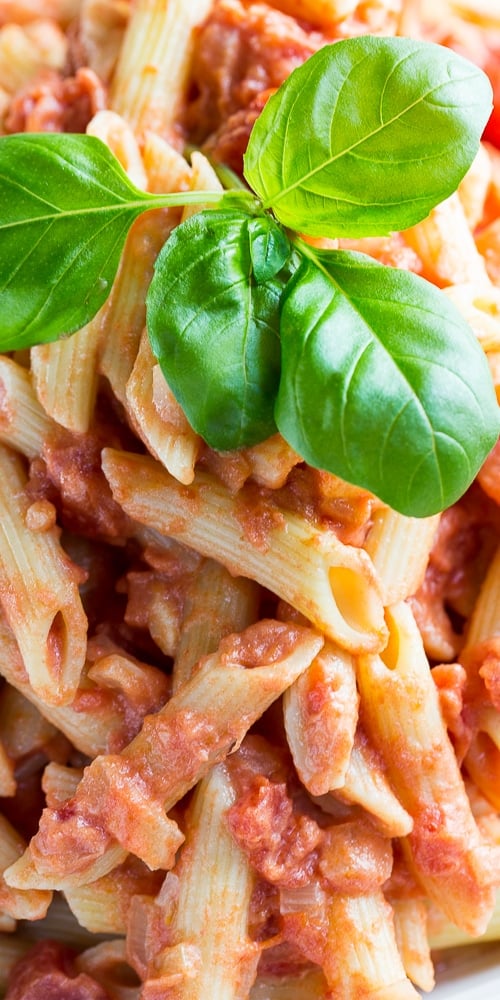 Close-up of Penne Alla Vodka with fresh basil.