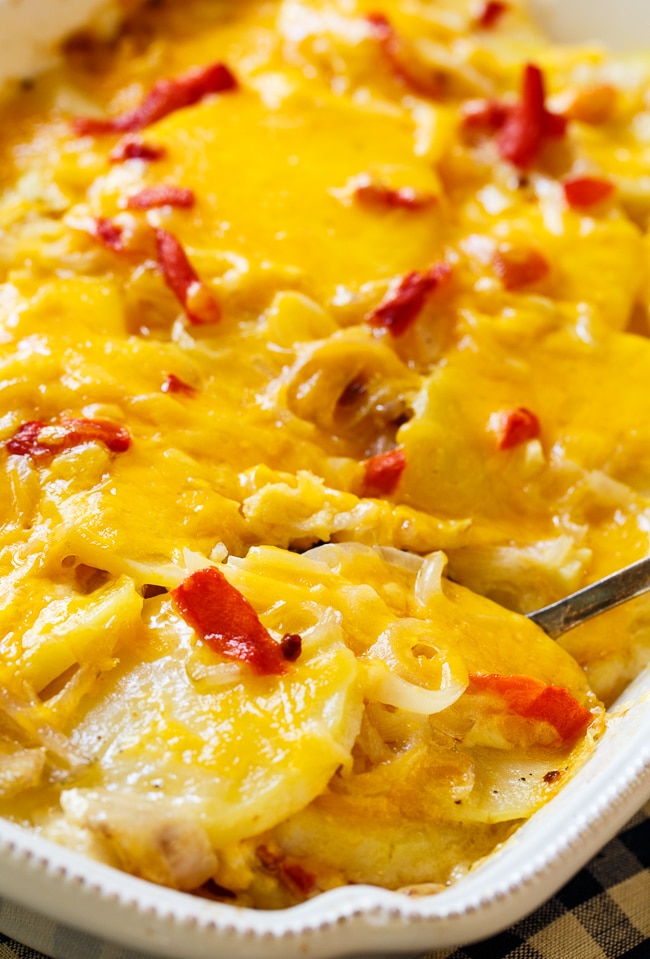 Pimento Cheese Potato Gratin- scalloped potatoes southern-style.