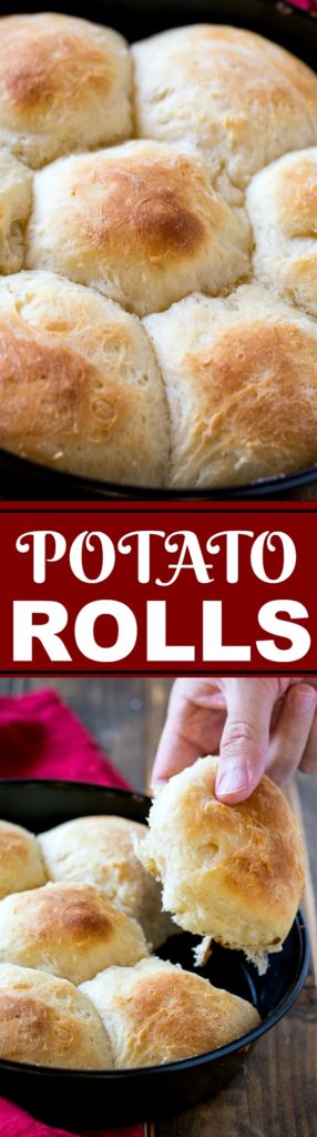 Potato Rolls Recipe - Spicy Southern Kitchen