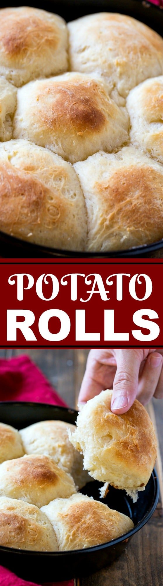 These Potato Rolls are made from leftover mashed potatoes.