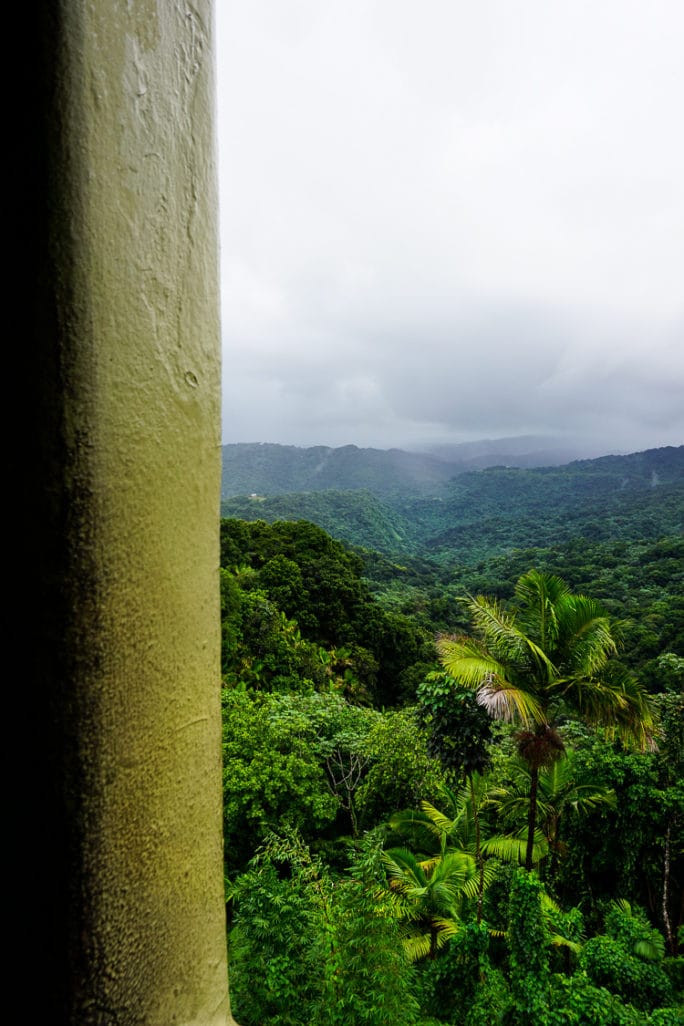 El Yunque Rainforest in Puerto Rico