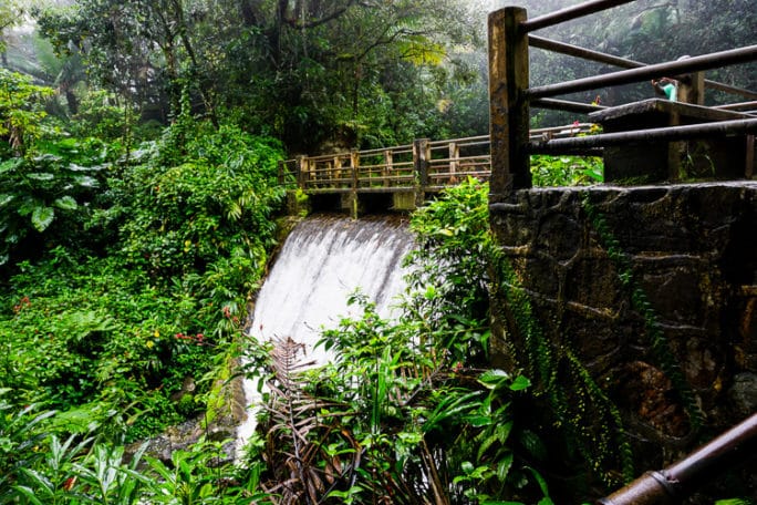 El Yunque Rainforest in Puerto Rico