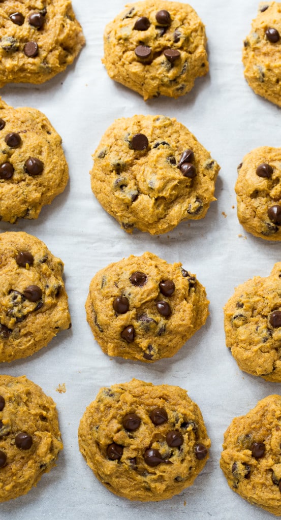 Soft Pumpkin Chocolate Chip Cookies