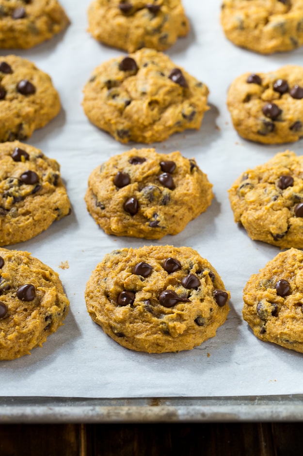 Soft Pumpkin Chocolate Chip Cookies