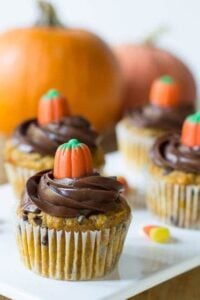 Pumpkin Chocolate Chip Cupcakes