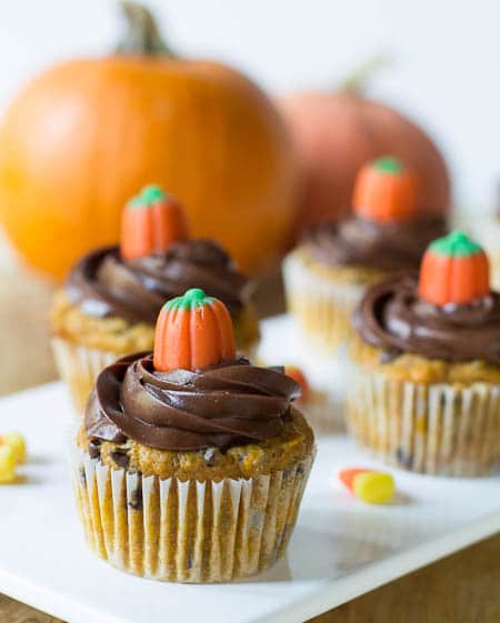 Cupcakes topped with chocolate frosting and a candy corn pumpkin.