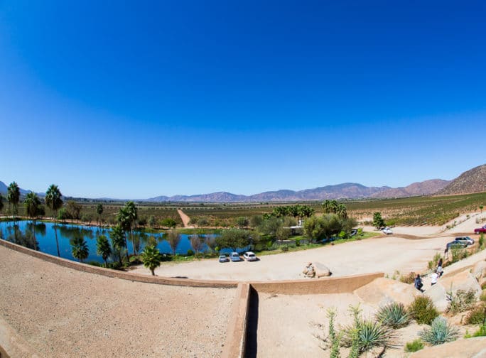 Princess Ruby Wine Excursion at Monte Xanic Winery in Ensenada Mexico