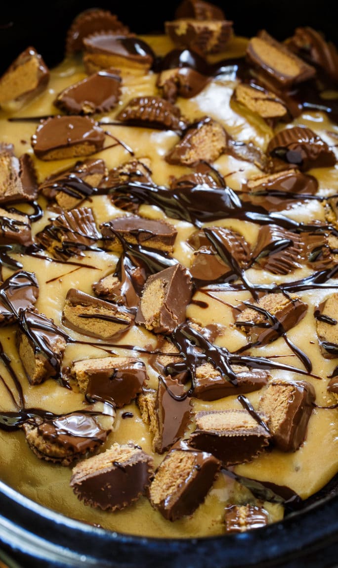Slow Cooker Chocolate Peanut Butter Cake Spicy Southern Kitchen